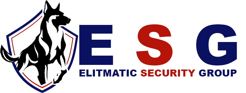 ELITMATIC SECURITY GROUP 